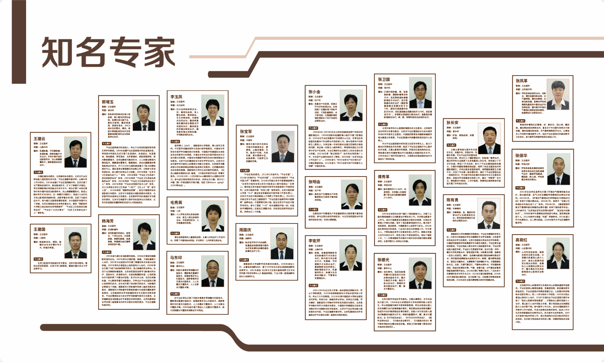 专家团队