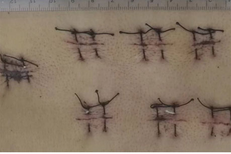 17512551147133869.png 3.jpg